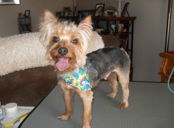 Doggie Style Grooming Studio - Orlando, FL