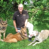 Bark Busters Home Dog Training gallery