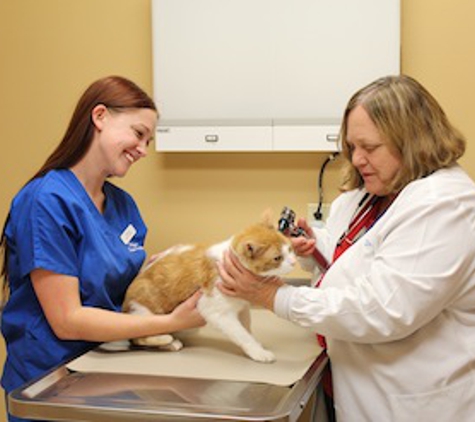 Northshore Animal Hospital - Knoxville, TN