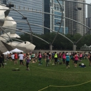City-Chicago Millennium Park - Parks