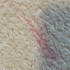 Anderson Carpet Cleaning Inc gallery