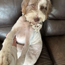 Laura Lee's Dog Grooming - Pet Stores