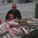 Y-Knot Charters