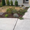 ALM Landscape & Construction LLC gallery