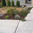 ALM Landscape & Construction LLC