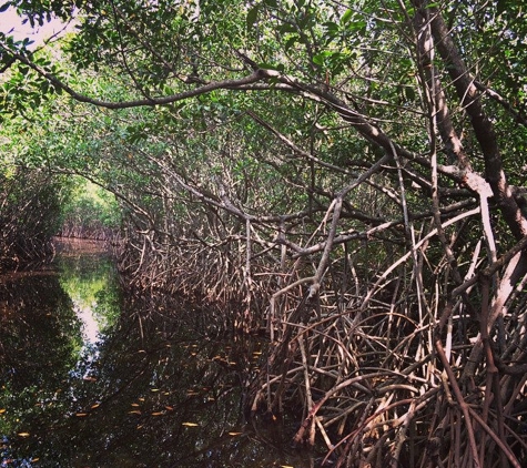 Corey Billie's Airboat Rides - Naples, FL