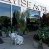 Wise Acre Eatery gallery
