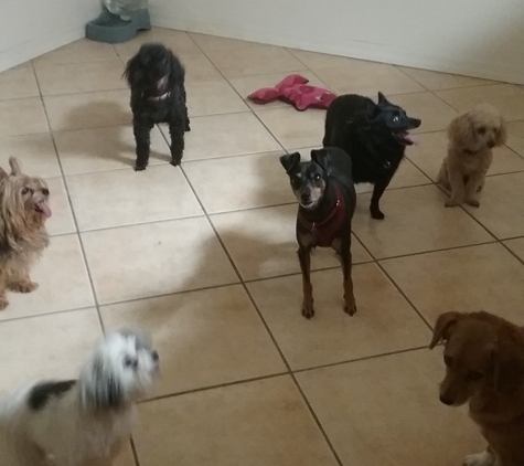 4 Paws Inn - Yuma, AZ. the gangs all here