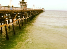 Gallery Image Number 1