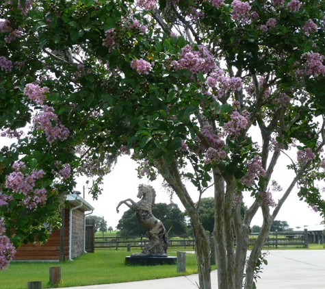 Goethe Trailhead  Ranch and RV Campground - Dunnellon, FL