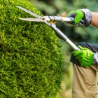 Apex Outdoors Group