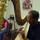 Harpist, Nicholas Mynyk - Music Instruction-Instrumental