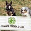Pasanita Obedience Club gallery