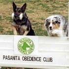 Pasanita Obedience Club