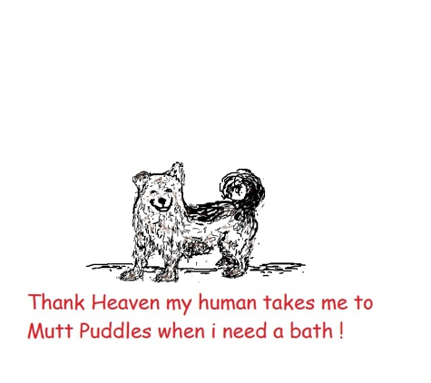 Mutt Puddles - Denver, CO. TELL YOURS TODAY