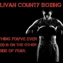 Sullivan County Boxing Gym - Personal Fitness Trainers