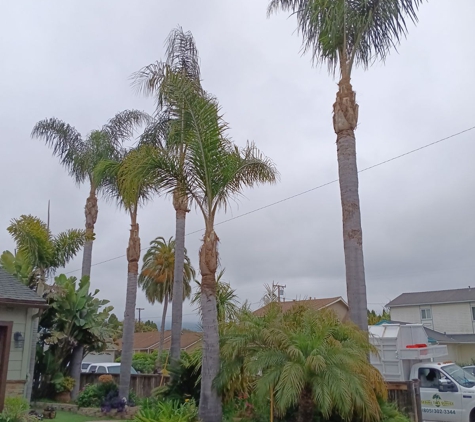 j-s-treeservice.com - Santa Barbara, CA