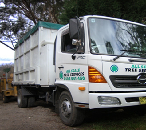 All Scale Tree Services - Mittagong, NSW