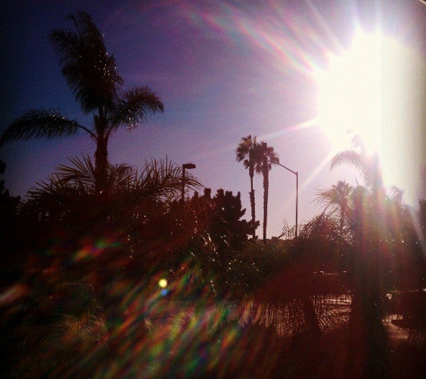 Point Loma Marina - San Diego, CA