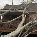 Tree Masters of Tennessee - Tree Service