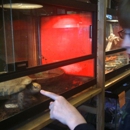 Pets & Things Reptile Emporium - Pet Stores