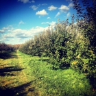 Shelburne Orchards