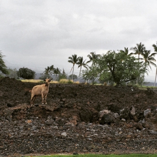 Hilton Grand Vacations Club Kings’ Land Waikoloa - Waikoloa, HI