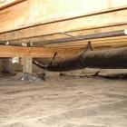 Ninja Dry Waterproofing & Water Damage Restoration