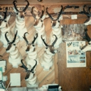 Lyle's Taxidermy - Taxidermists