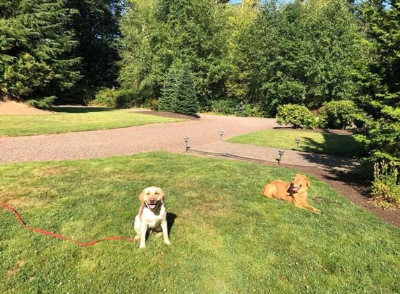 Prestige K9 Dog Training - Snohomish, WA