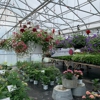 Crossville Garden Center gallery