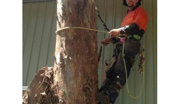 Bill's Tree Service Pty Ltd