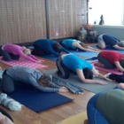 Blue Moon Yoga