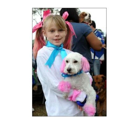 Orchard Hills Veterinary Hospital - Orchard Hills, NSW