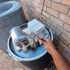 All N-1 Pest Control Management gallery