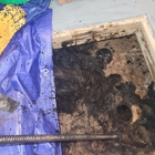 Roto-Rooter Plumbing & Water Cleanup