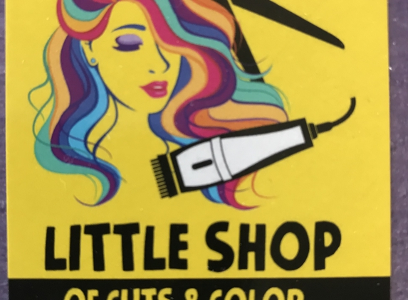 Little Shop of Cuts & Color - Saint Petersburg, FL