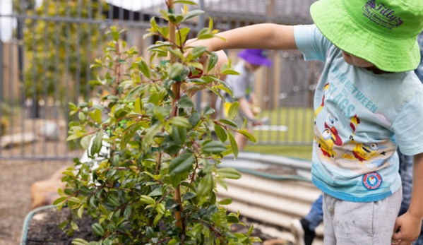 Tillys Play & Development Centre - Waratah, NSW. Chisholm