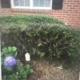 Second Nature Landscaping & Irrigation Inc