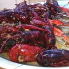 New Louisiana Crawfish