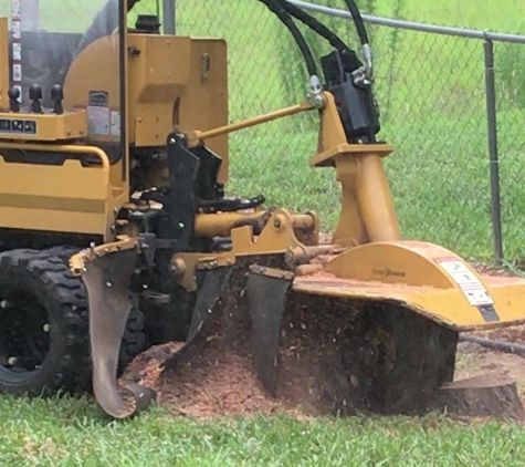 Tree Care - Brooksville, FL. Stump Grinding