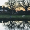 Ct Ranch gallery