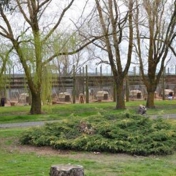 Gallery Image Number 3