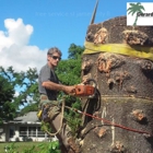 Gerard's Tree Service