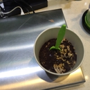 Fruitti Yummi - Yogurt