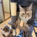 Bayside Pet Resort - Pet Boarding & Kennels