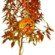 Gallery Image Number 3