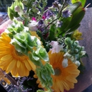 Blooming Dahlia - Florists