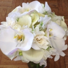 Stoughton Flower Shop