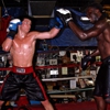 Adam Willett Technique Boxing gallery